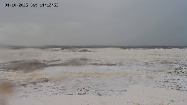 Photo from our web camera as it was too windy to take a photo outside